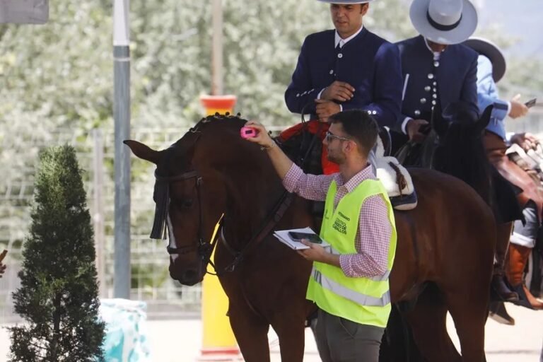 Veterinarios móviles aumentan su popularidad al ofrecer un servicio más cálido en el hogar