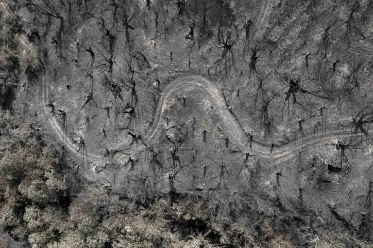 Superficie calcinada por el peor incendio de la historia de Galicia,