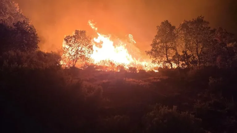 El incendio en Jarilla (Cáceres) afecta 130 km y provoca evacuaciones en El Jerte y carreteras de
