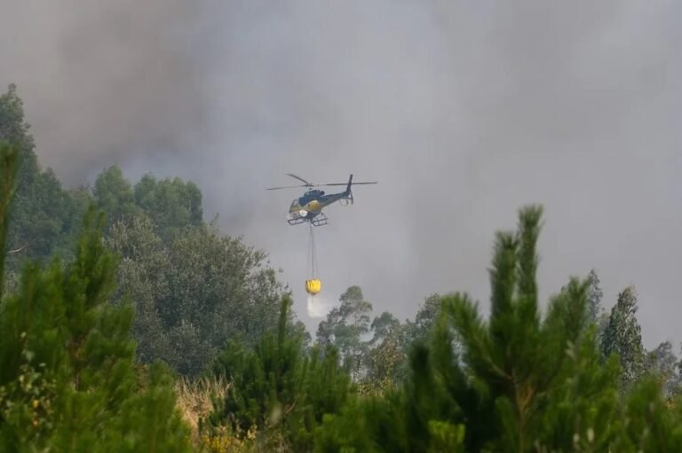 Un incendio afecta la cumbre más elevada de Galicia y pone en peligro su bosque más antiguo