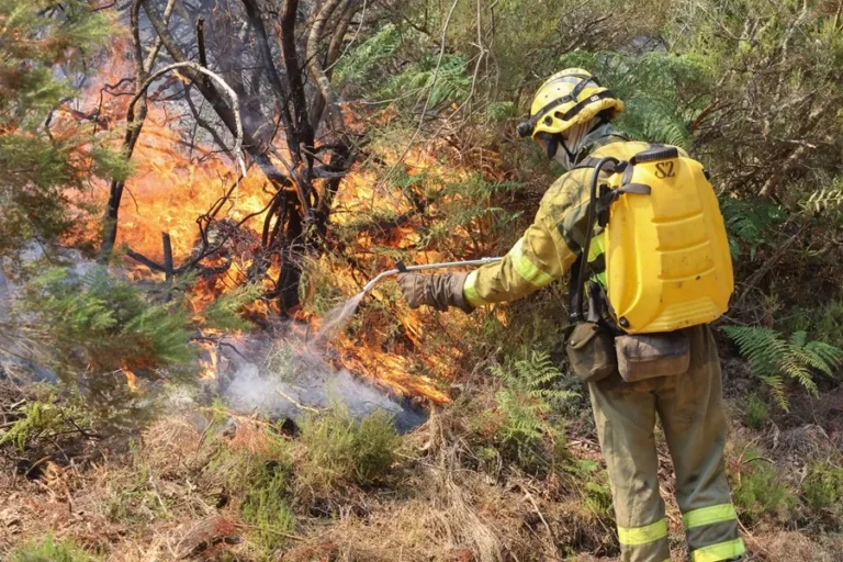 Evacuan a los habitantes de El Payo (Salamanca) por el incendio, doce carreteras permanecen cerradas