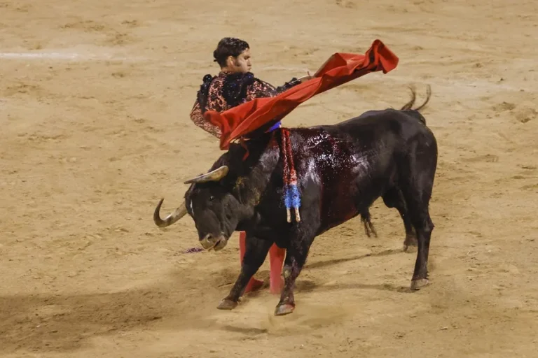 Morante de la Puebla sale del hospital tras la cornada sufrida en Pontevedra, según EFE