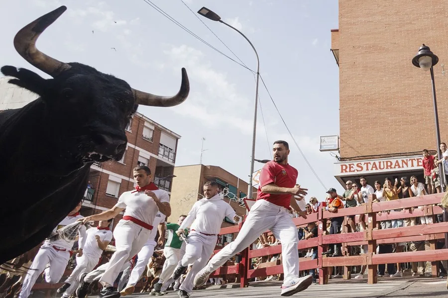 Siete personas resultan heridas leves en el segundo encierro de San Sebastián de los Reyes
