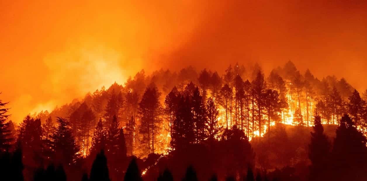 La prevención de incendios forestales de este verano es notablemente mejorable