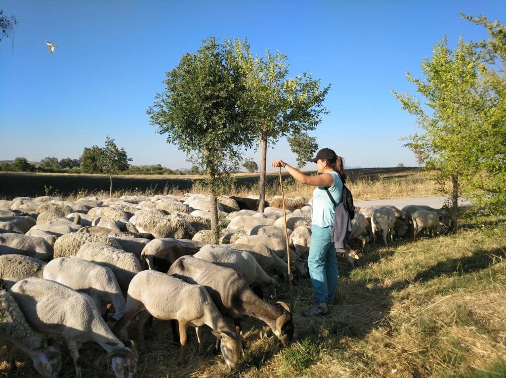 Nueva edición de la escuela de pastores andaluces para la ganadería extensiva y la biodiversidad