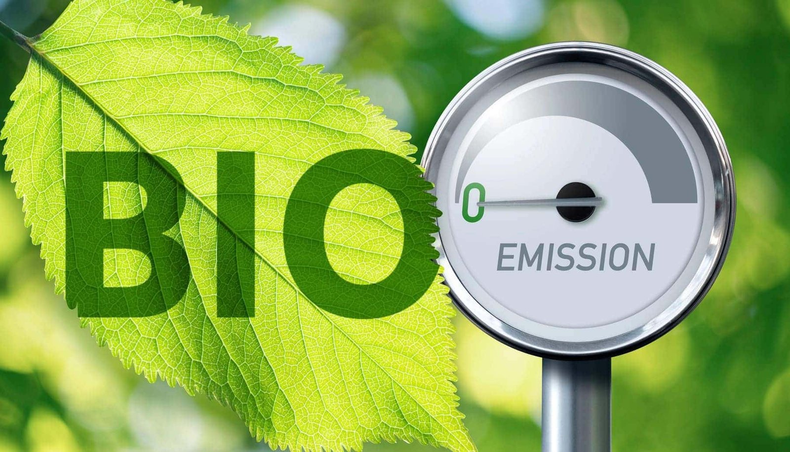 CCAA y MITECO destacan el 'gas verde' en la descarbonización del país