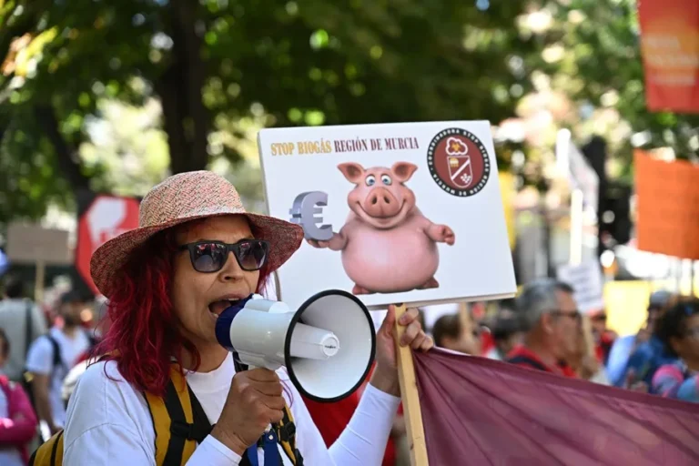 Cientos de manifestantes en Madrid reclaman por el abandono del medio rural y la defensa del
