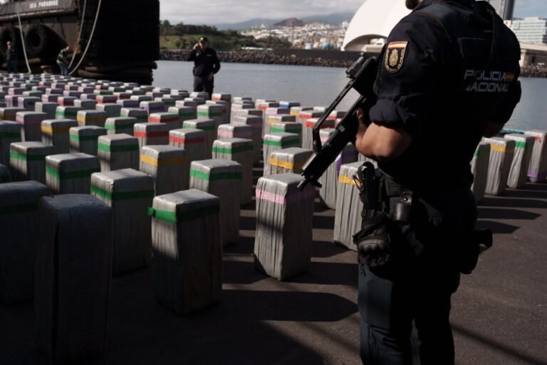Agentes vigilan el desembarco de la droga  en el puerto de Santa Cruz de Tenerife. EFE/Ram&oacute;n de la Rocha