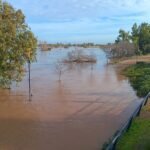 El fuerte caudal y el alto nivel del r&iacute;o Guadiana, en el que confluyen los r&iacute;os G&eacute;vora y Zapat&oacute;n, ha inundado diversos tramos de riberas en la ciudad de Badajoz