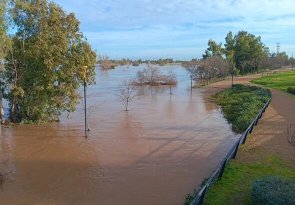El fuerte caudal y el alto nivel del r&iacute;o Guadiana, en el que confluyen los r&iacute;os G&eacute;vora y Zapat&oacute;n, ha inundado diversos tramos de riberas en la ciudad de Badajoz