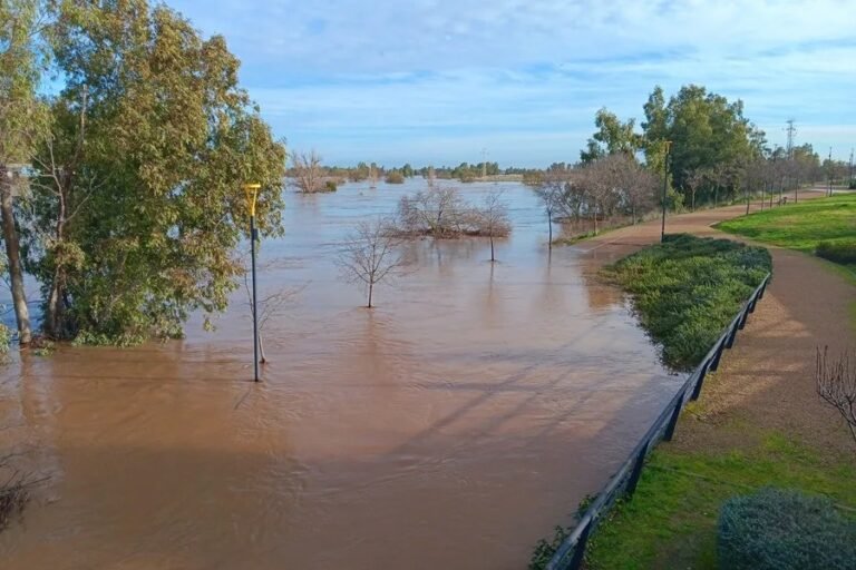 El fuerte caudal y el alto nivel del r&iacute;o Guadiana, en el que confluyen los r&iacute;os G&eacute;vora y Zapat&oacute;n, ha inundado diversos tramos de riberas en la ciudad de Badajoz