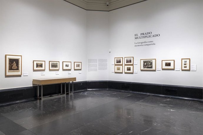 Imagen de la sala de la exposici&oacute;n 'El Prado multiplicado'.