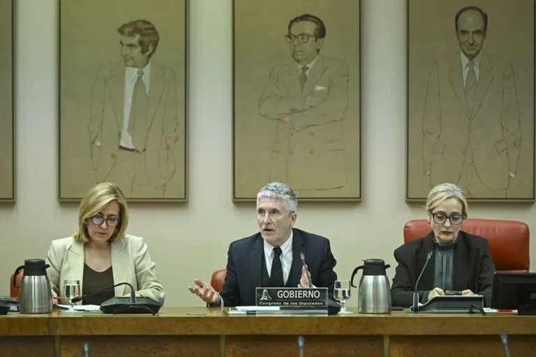 Marlaska aclara que no hay controles aleatorios de la baliza V-16, pero su omisión conlleva