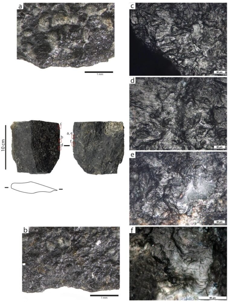 Antiguos canarios utilizaban herramientas de piedra para la recolección de cereal en el Bentayga