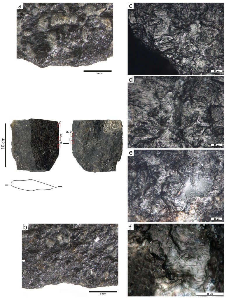 Antiguos canarios utilizaban herramientas de piedra para la recolección de cereal en el Bentayga
