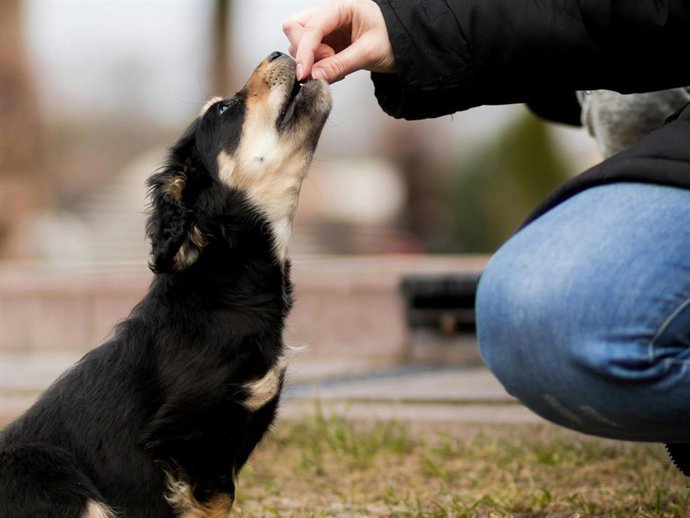 Archivo - (Foto De ARCHIVO