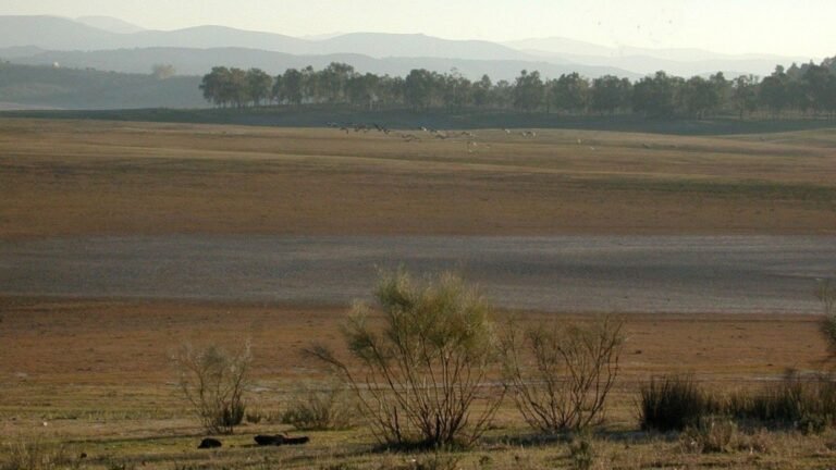 Red Natura 2000 en Extremadura: la controvertida desclasificación que afecta 52 espacios naturales