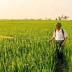 Ctc crea fertilizantes inteligentes con nanotecnología para una agricultura sostenible y eficiente