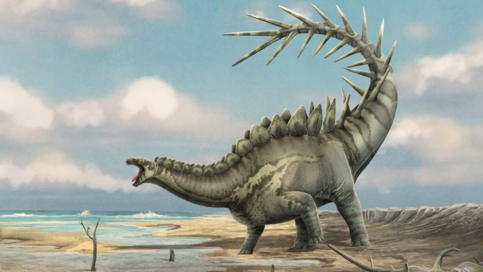 Investigación indica que los estegosaurios del este de Iberia eran parte de un solo linaje costero