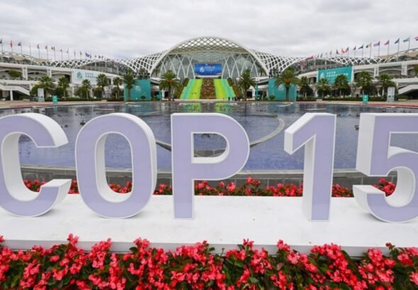 SEO BirdLife destaca progresos en la COP15 sobre especies migratorias a pesar de la escasa