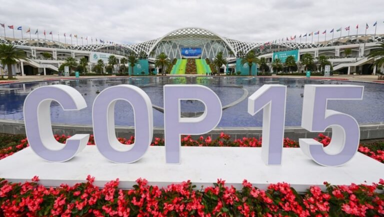 SEO BirdLife destaca progresos en la COP15 sobre especies migratorias a pesar de la escasa