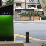 Serbia cultiva 'árboles líquidos' de microalgas que absorben CO2 y generan oxígeno, con puertos