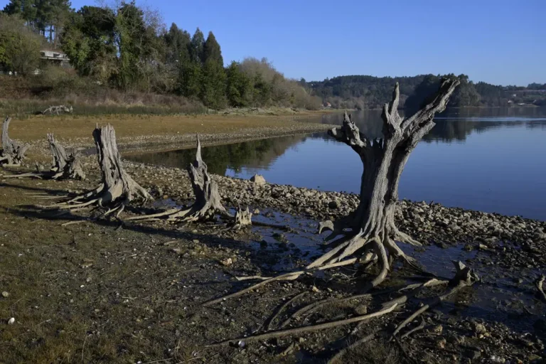 El Gobierno reafirma su intención de que los sistemas de regadío histórico sean Patrimonio UNESCO