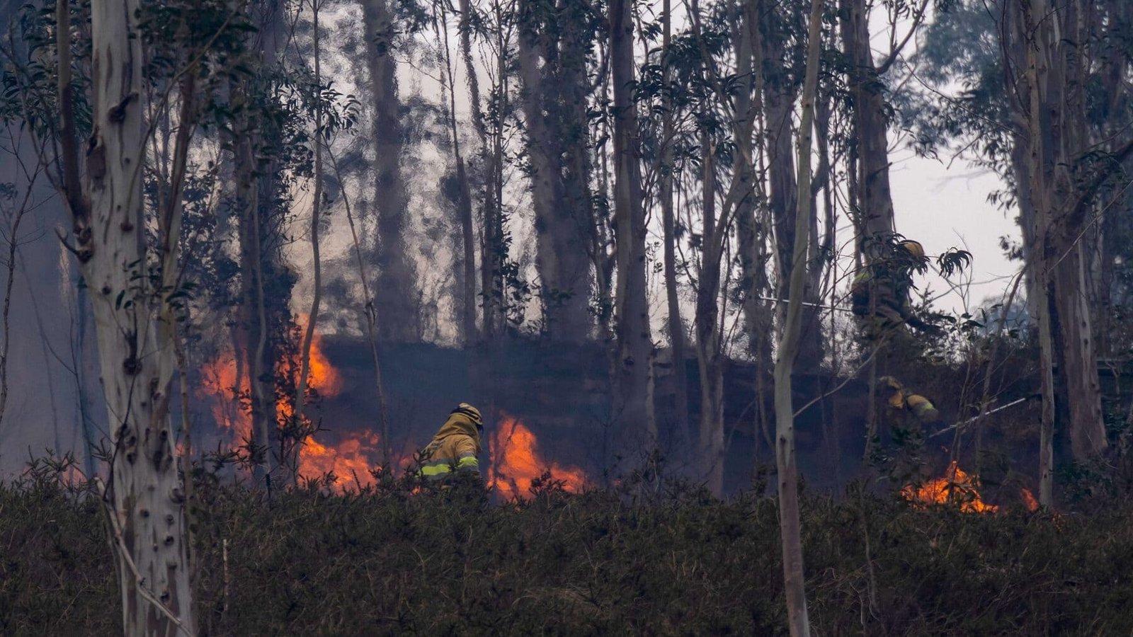 Cantabria enfrenta 26 incendios forestales activos y riesgo extremo hasta el viernes, a pesar de