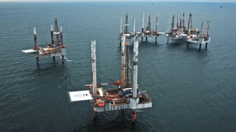 Trump reanuda extracción de petróleo en el golfo de México, amenazando especies protegidas con