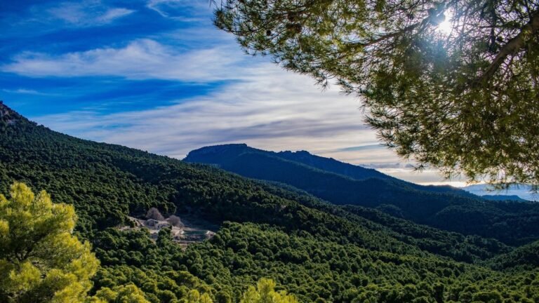 Medir la altura de árboles y edificios con lidar facilita el análisis del crecimiento de bosques